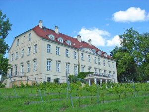 Ein Großteil des Mecklenburger Landweins wächst um das Schloss Rattey