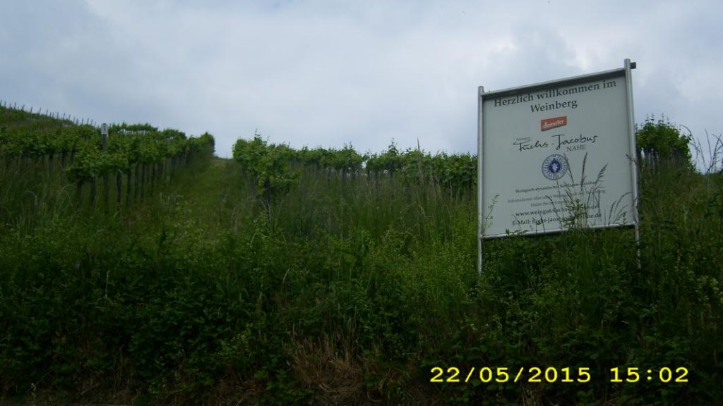 Demeter-Weingut Fuchs-Jacobus