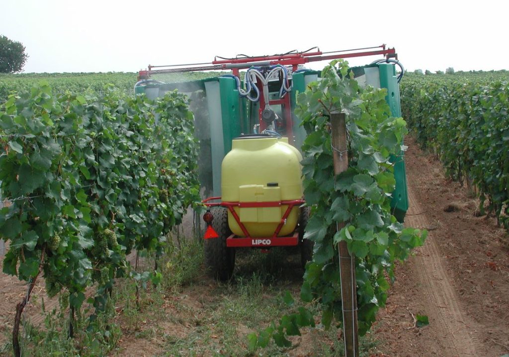 Pestizide Weinbau