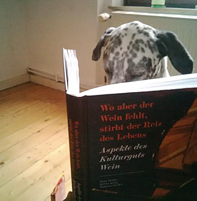 Weinbuch