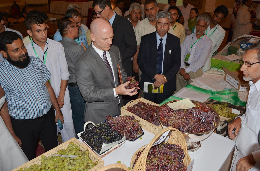 Die Bedeutung der Rebsorten für den Geschmack und Charakter des Weins