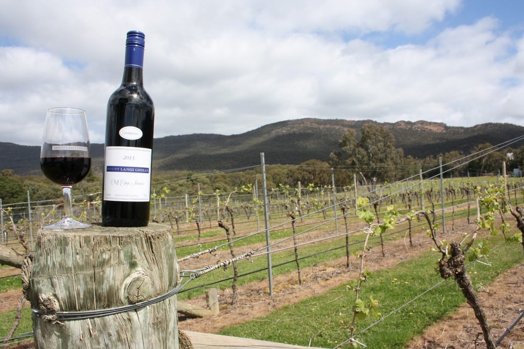 wine, grampians, vineyard